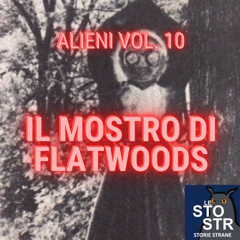 S04E04 - Alieni vol. 10 - Il mostro di Flatwoods