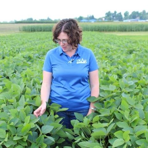 Carrie Knott, KY soybean report