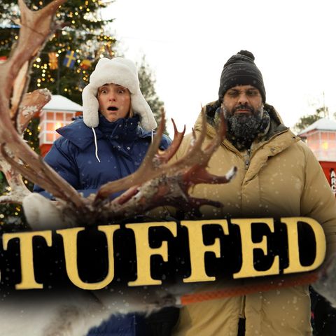Stuffed Reaction