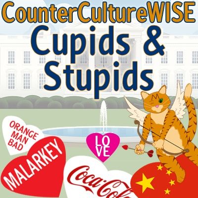 Cupids & Stupids