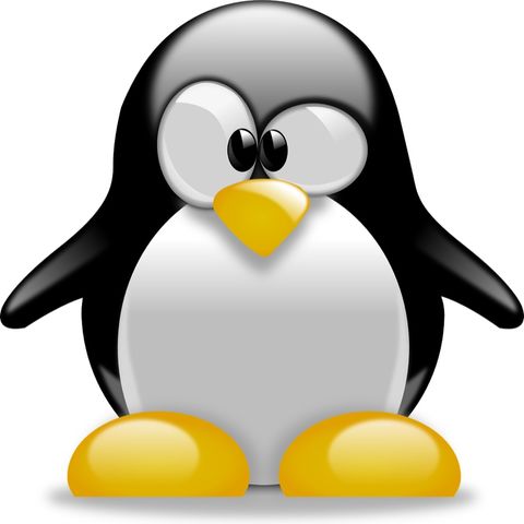 un pc sous Linux pour les enfants