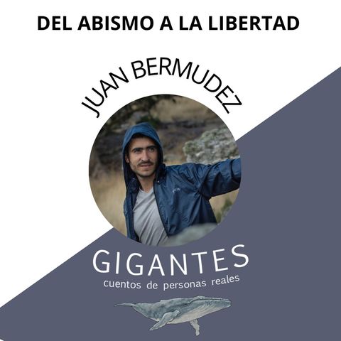 Del Abismo a la Libertad - Juan Bermudez