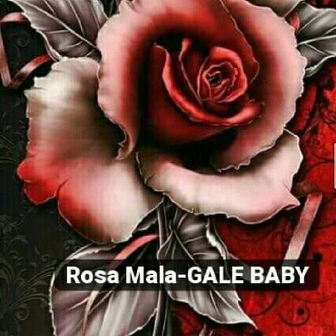 Rosa Mala- GALT BABY