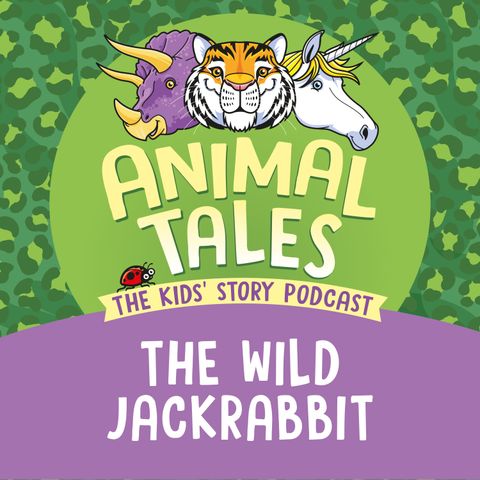 The Wild Jackrabbit
