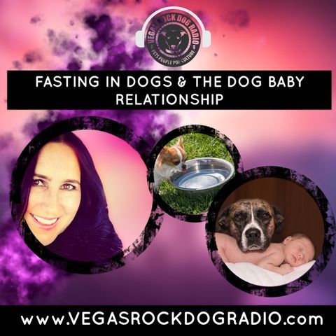 Fasting In Dogs and Understanding The Relationship Between Dogs and Babies