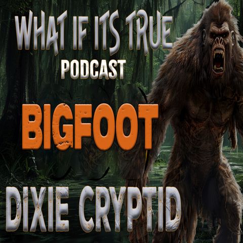 Archive 36 Bigfoot Encounter