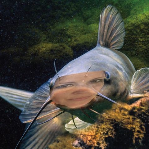 I like me some catfish