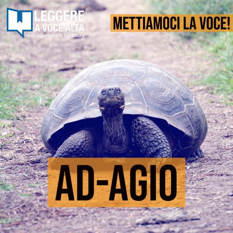 88 - AD-AGIO il nostro metodo di insegnamento della lettura a voce alta