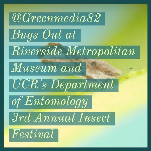 @GreenMedia82 Bugs Out at the Riverside Metropolitan Museum