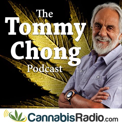 Tommy Chong Great Grandfather to Be