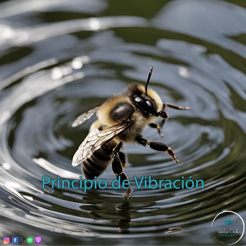 Principio de Vibración