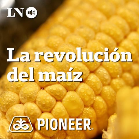2: El maíz como carrier de la agricultura moderna