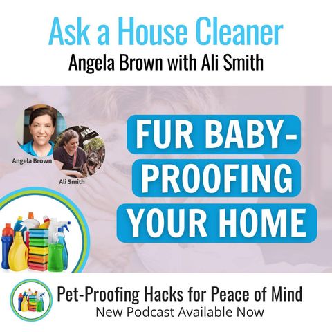 Puppy Proofing Your Space With Ali Smith