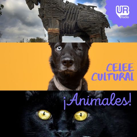 ¡Animales!