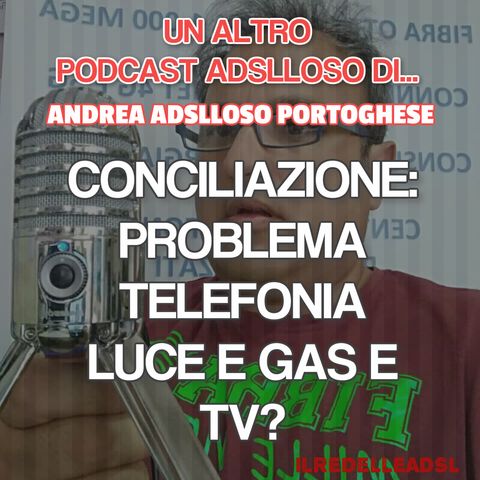 #10 Conciliazione Risoluzione Controversia TIM/Vodafone AGCOM Emilia Romagna Ep. #02