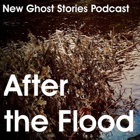 07 - After the Flood (Ghost story for Christmas)