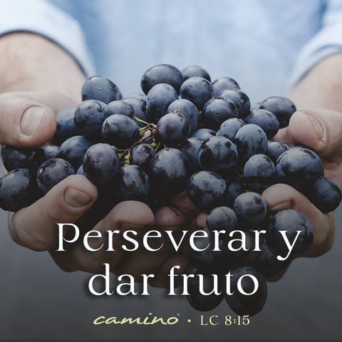 Oración 22 de abril (Perseverar y dar fruto)