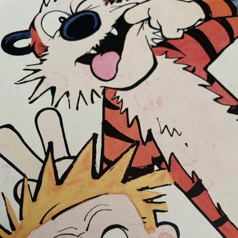 2.30.- Calvin y Hobbes