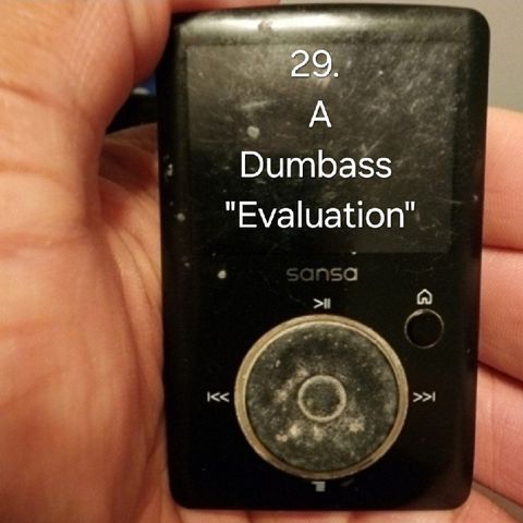 29. A Dumbass "Evaluation"