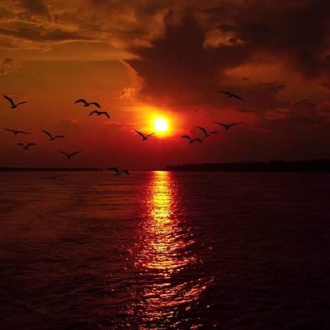 Episódio 1 - Programa 100% Poesias