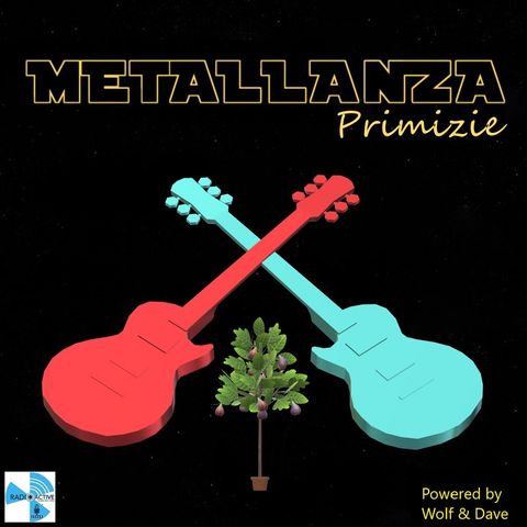 Metallanza Primizie 01.12.2020