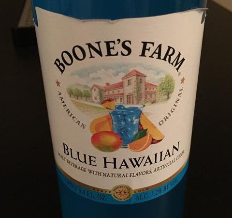 Bum Wine Bob Goes To Boone's Farm