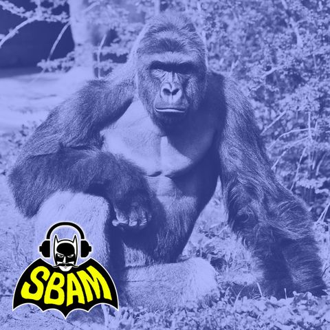 Ep. 07 | Harambe: ll gorilla che fece esplodere internet