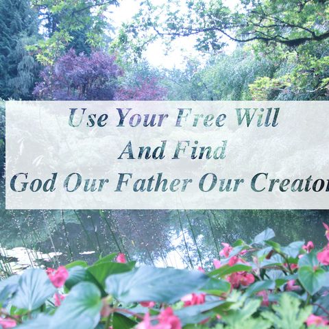 Use your free will
