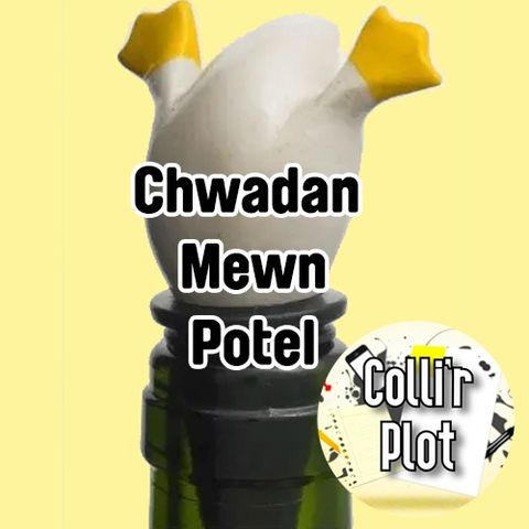 Chwadan Mewn Potel