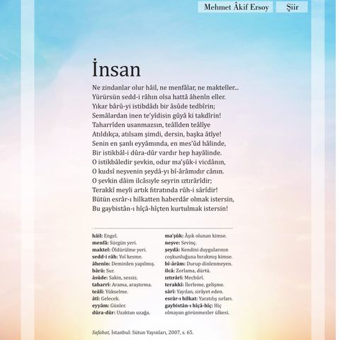İnsan