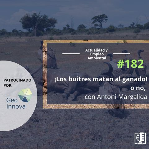 ¡Los buitres matan al ganado! o no, con Antoni Margalida #182