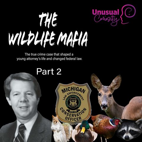 The Wildlife Mafia Part 2