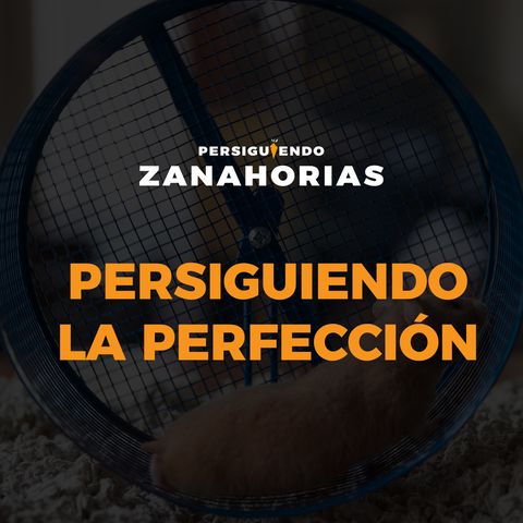 Persiguiendo la Perfección
