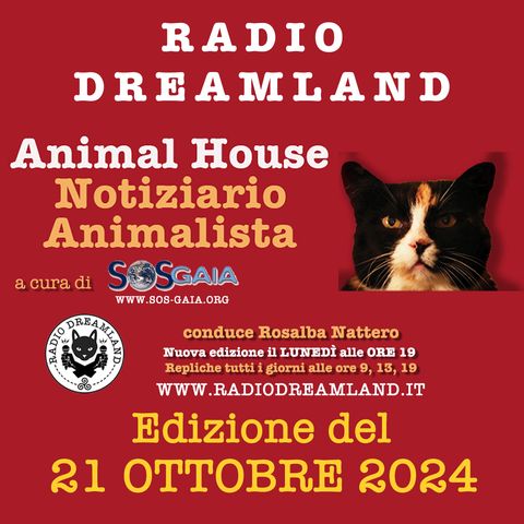 Notiziario animalista del 21 ottobre 2024