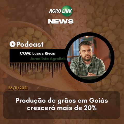 Produtividade do feijão em Santa Catarina cresce 30%