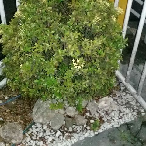 escalada