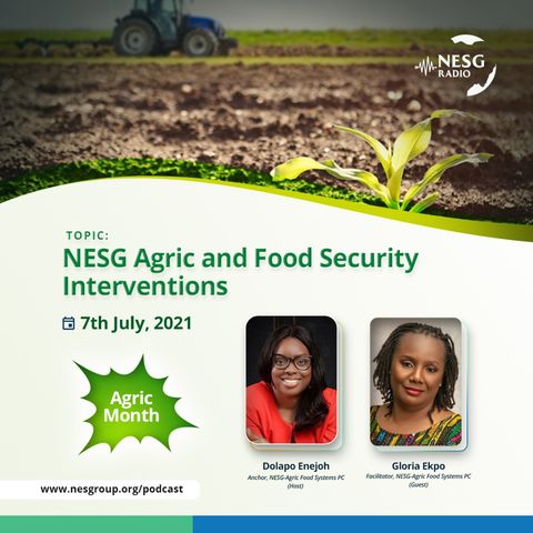 NESG Agric And Food Security Inventions
