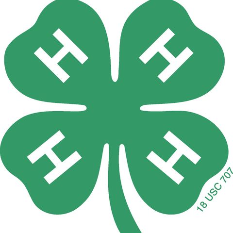 Teen Talk Episode 1: What is 4-H?