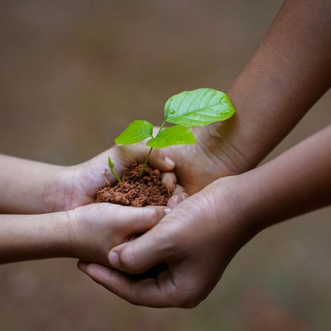 Agricoltura per il suolo le buone pratiche italiane di scena a Ecomondo