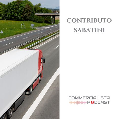 71_Contributo Sabatini