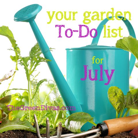 Gardening "To-Do" List for July