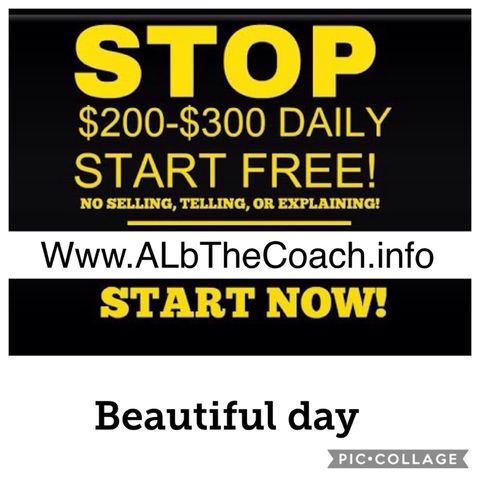 AL b The Coach - online network marketing business opportunity