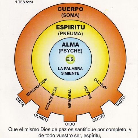 Programação Teste