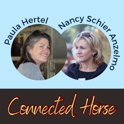 Connected Horse || Paula Hertel & Nancy Schier Anzelmo