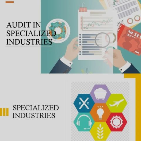 T.A.13. Auditing in specialised industry