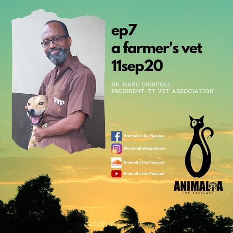 ANIMALIA 07 - A Farmer's Vet - 11Sep20