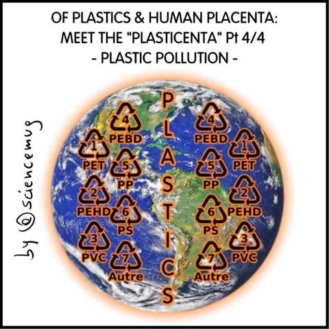 Of plastics & human placenta: meet the plasticenta! Pt 4/4 - Plastic pollution -