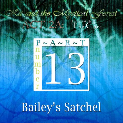 Part 13: Bailey’s Satchel (Remastered)