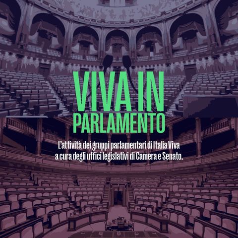 Crisi di Governo - Viva in Parlamento del 19 luglio 2022