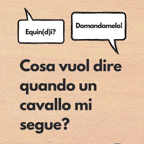 Cosa vuol dire se un cavallo mi segue?